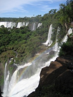 The Falls of Iguaçu