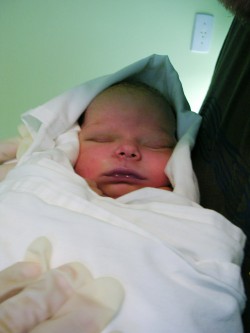 Anna Rebecca Reutter