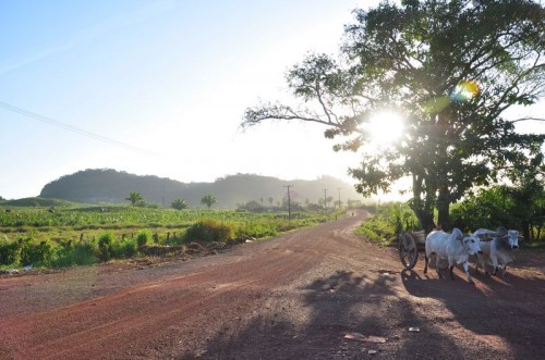 Welcome to the wild west - only it's in the Amazon Basin Welcome to the wild west - only it's in the Amazon Basin