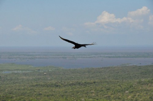 Only birds get views like these Only birds get views like these