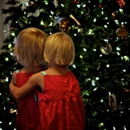 Christmas cheer.