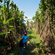 A one-hour hike through the muddy jungle to get to a neighboring, unreached community.